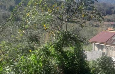 زمین 180 متری مسکونی