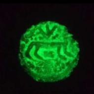 سکه شب نما گبری