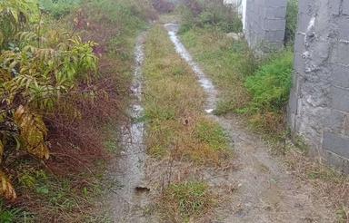 زمین باغی داخل طرح داخل شهر قابل ساخت