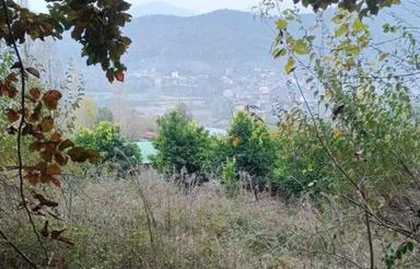 زمین مناسب برای کلبه سوئیسی و سرمایه گذاری