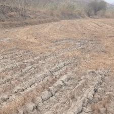 زمین کشاورزی 2500 متر