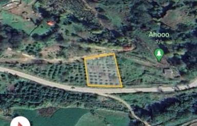 فروش زمین باغ 1300 متر در آهودشت