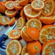 تفاله نارنج. تخم نارنج