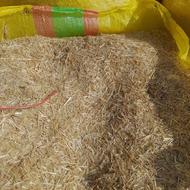 کاه درجه 1 نرم وریز80 تن