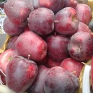 کارگرخانومباشهچونجمخانوادگیهس