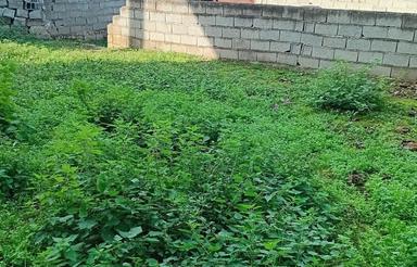 200 متر زمین در ارطه