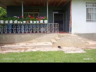 فروش زمین در ماسال