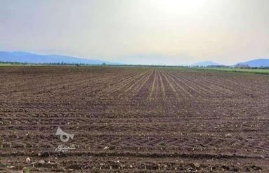 12000 متر زمین کشاورزی دیمی