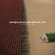 شال هندی رنگبندی مختلف