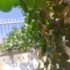 ویلایی سندتک برگ عرصه وعیان 10قدمی مراکزتجاری