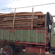 َخریدوفروش انواع چوب خشک وتر