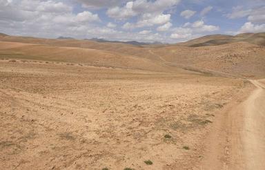 زمین کشاورزی