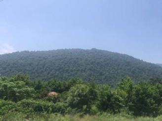 200مترزمین مناسب سرمایه گذاری