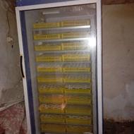 دستگاه جوجه کشی