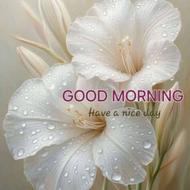 ماشین پراید131 خریدارم