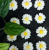 شمع های دست ساز