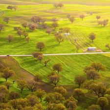 زمین قابل ساخت در بهترین منطقه و20 کیلومتری شهریاسوج