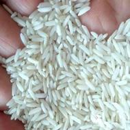 برنج اصلی طارم هاشمی مازندران