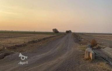 زمین کشاورزی