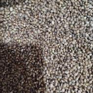 فروش 2تن شادانه ریز بوجاری شده کشت امسال