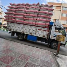 کاه لوبیای خوب چیتی