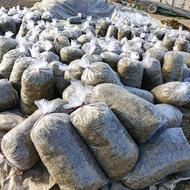 ذرت علوفه ای بسته بندی شده