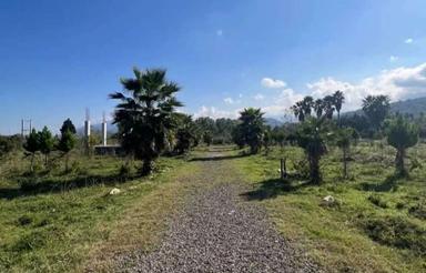 فروش 420 متر با سند و جواز شهرکی رو به جنگل 