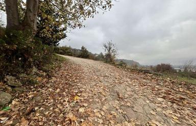  200 متر زمین دامنه جنگل خیررودکنار با ویو بینظیر