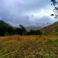 زمین باغی و کشاورزی