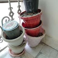 گل گلدون کادو هدیه پلاستیکی سفالی گلدان خاک و کود