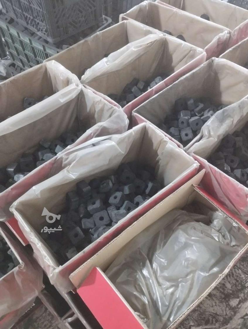 فروش زغال حبه و فشرده