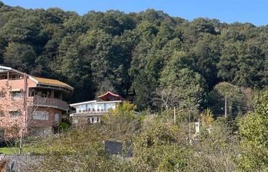 فروش زمین مسکونی 300 متر در شکتا بقیمت زیر قیمت منطقه 