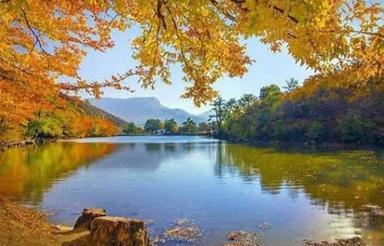 ویلا جنگلی شمال (سوادکوه) در لوکیشن عالی در چشم انداز دریاچه