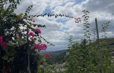 فروش تعدادی زمین بافت روستای شکتا از 200 متر