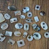 نگین شجر اصل