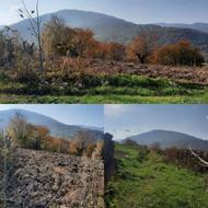 زمین مسکونی در بهترین نقطه مازندران