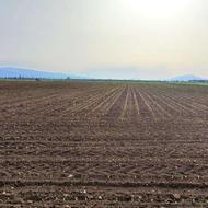 زمین کشاورزی