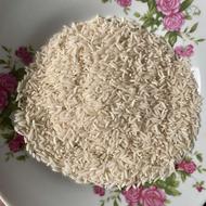 برنج طارم هاشمی