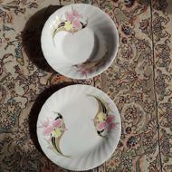 کاسه و بشقاب بزرگ