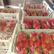 کار در سبد سازی