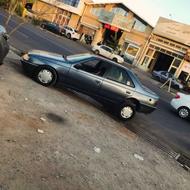 پژو405 دلفینی77