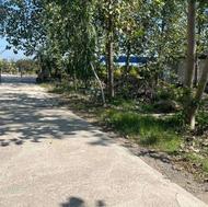 زمین 200متری شهرکی جذاب قابل ساخت با درختان چندساله