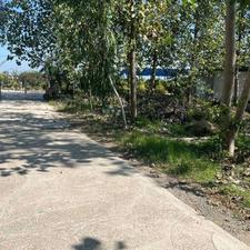 زمین 200متری شهرکی جذاب قابل ساخت با درختان چندساله