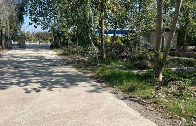 زمین 200متری شهرکی جذاب قابل ساخت با درختان چندساله