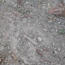 زمین مسکونی