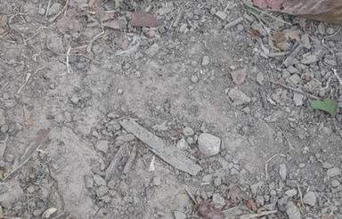 زمین مسکونی