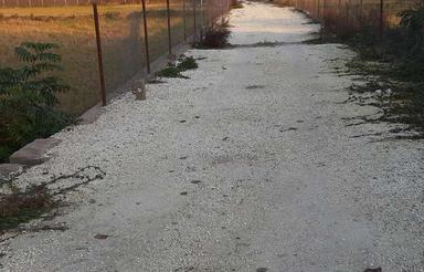 زمین چسبیده به بافت سند تکبرگ