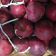 سیب قرمز و زرد درجه یک