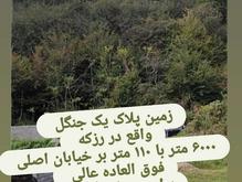 زمین 6000 متر بر جاده هراز رزکه با 110 متر بر در شیپور