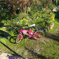 دوچرخه سایز بیست سالم